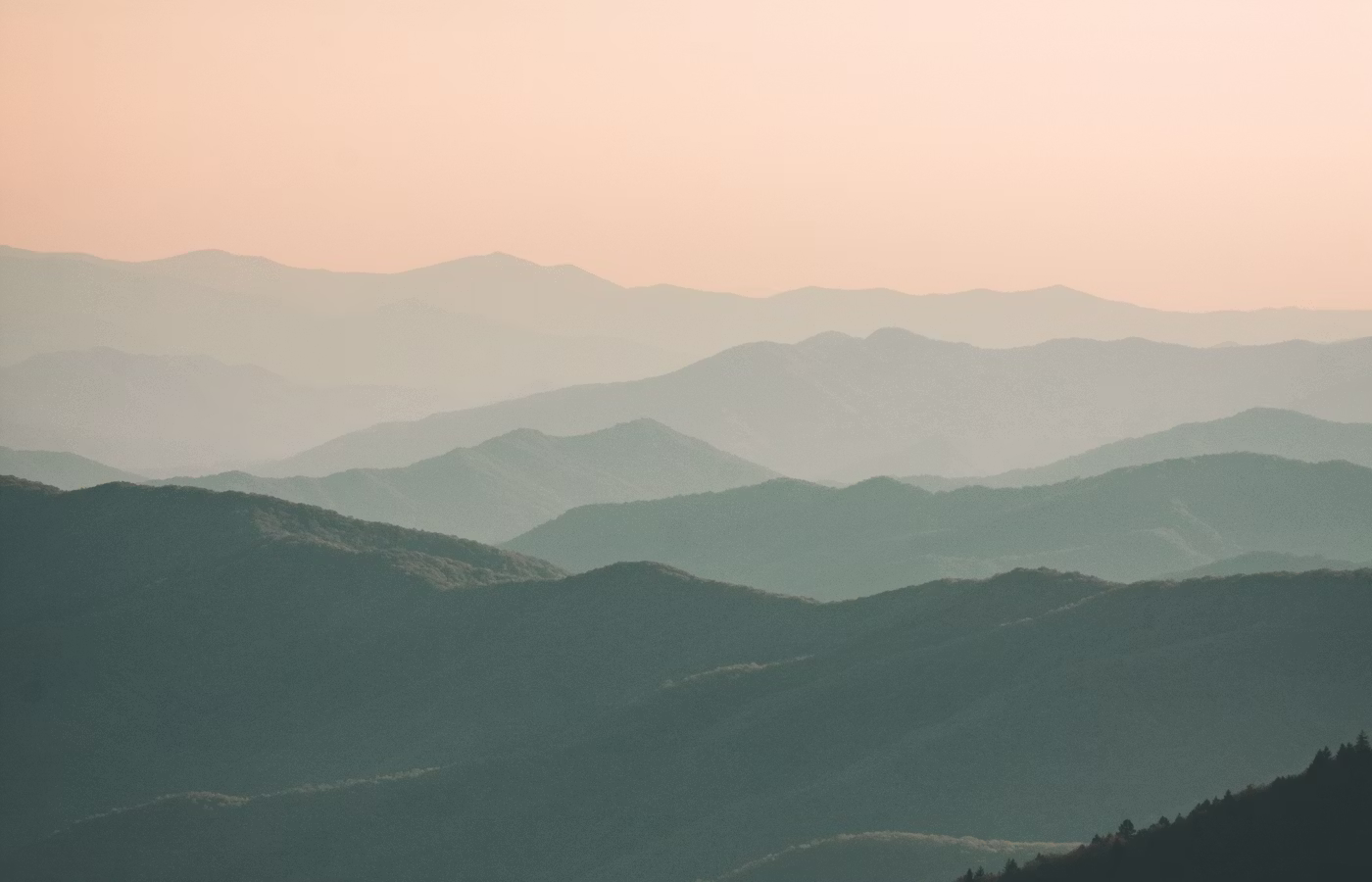 Телесная осознанность для предпринимателя